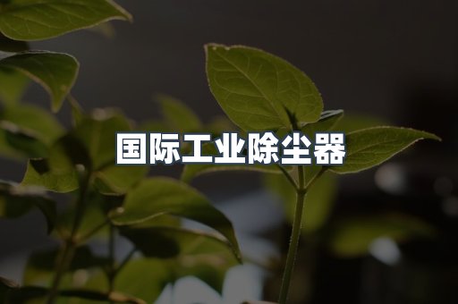 国际工业除尘器