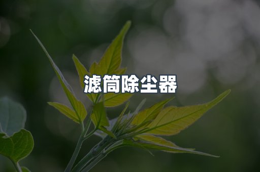 滤筒除尘器